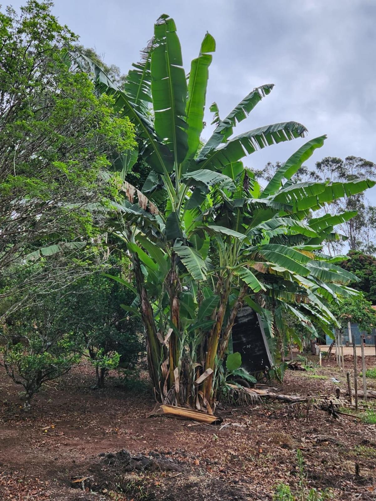 Pousada La Na Roca Paraisópolis Buitenkant foto