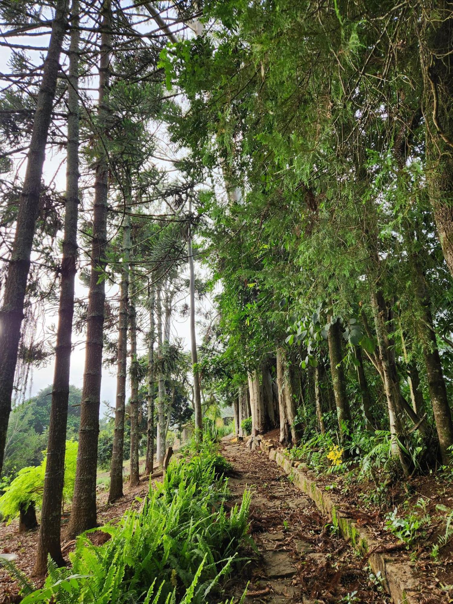 Pousada La Na Roca Paraisópolis Buitenkant foto